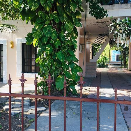 Hostal Y Camping Villa Mercedes Tizimín Eksteriør bilde