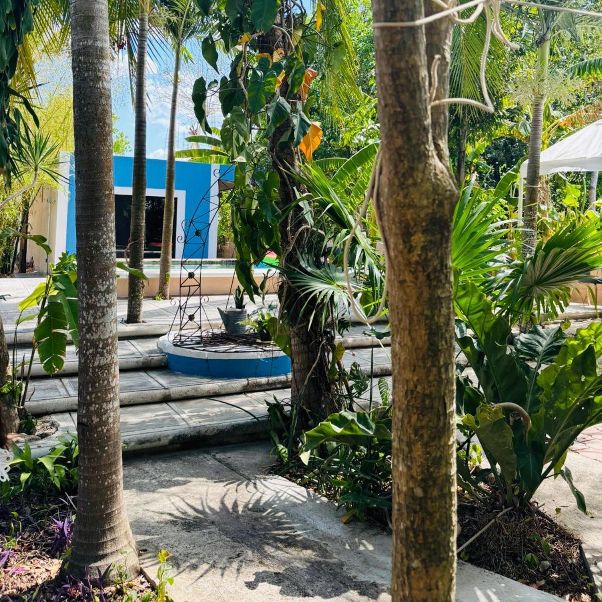 Hostal Y Camping Villa Mercedes Tizimín Eksteriør bilde
